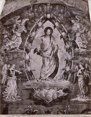 Brogi — Roma. S. M. in Aracoeli. Glorificazione di S. Bernardino (part.re): Pinturicchio. — particolare, Cristo in gloria